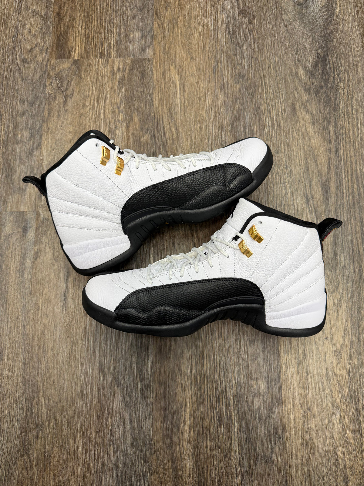 Size 11.5-Jordan 12 Taxi